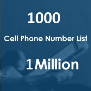 1000 Phone Number List