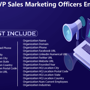 Chief VP Sales Marketing Officers Email List