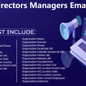 IT Directors Managers Email List