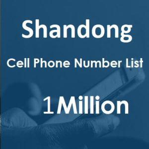 Shandong Phone Number List