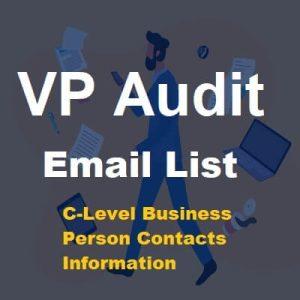 VP Audit Email List