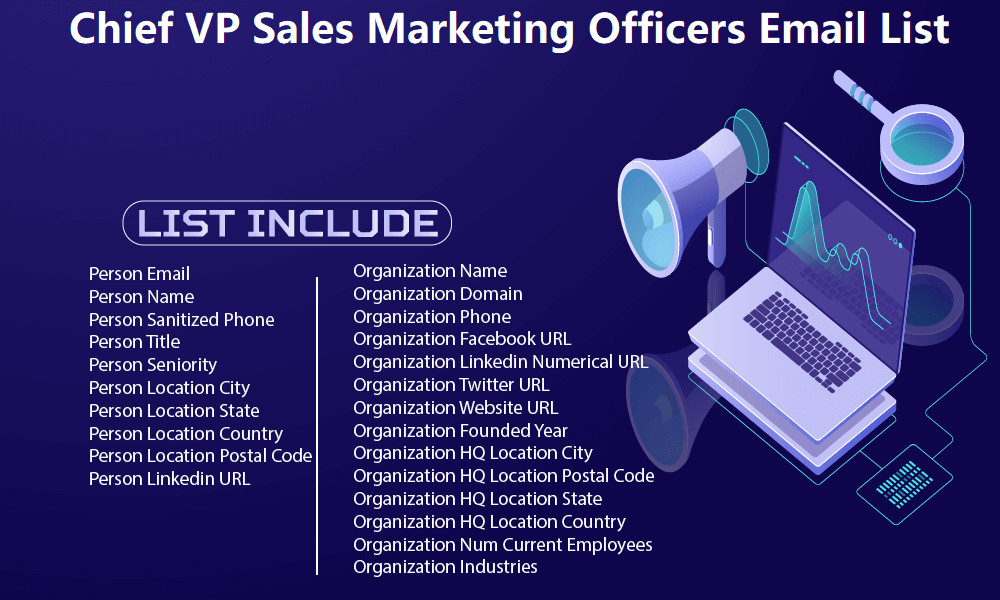Chief VP Sales Marketing Officers Email List