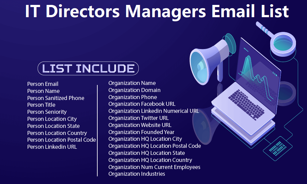 IT 主管经理电子邮件列表