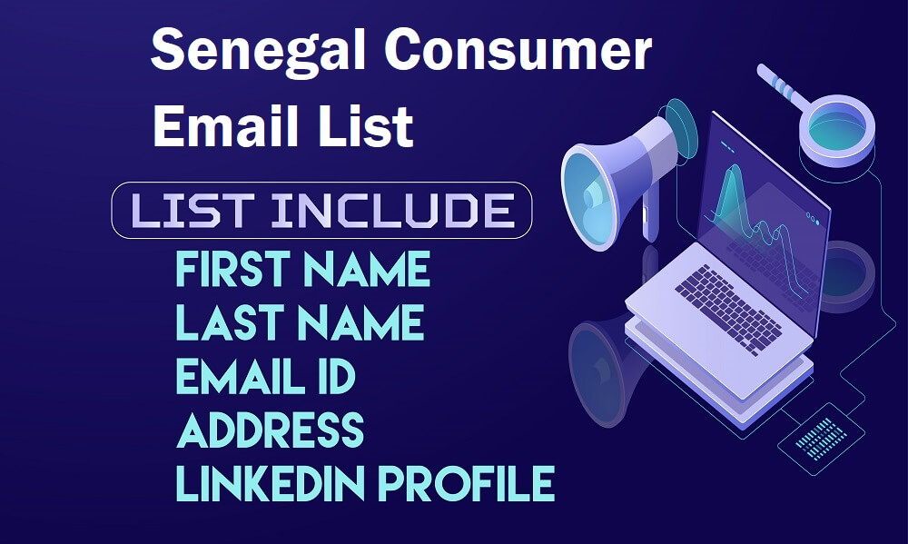 Lista de correo electrónico de consumidores de Senegal