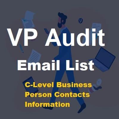 VP-audit