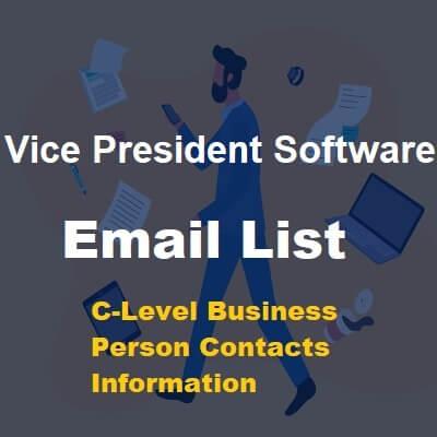 Vice President Software